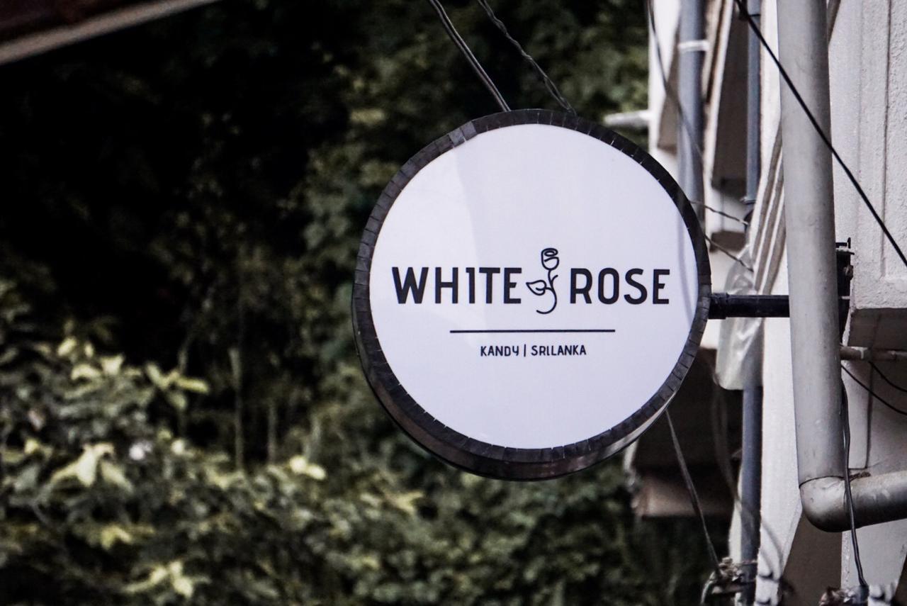 White Rose